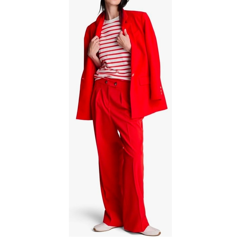 Kenneth Cole Pleated Fly Front Crisscross Wide Leg Work Pants Carreman Lava Red